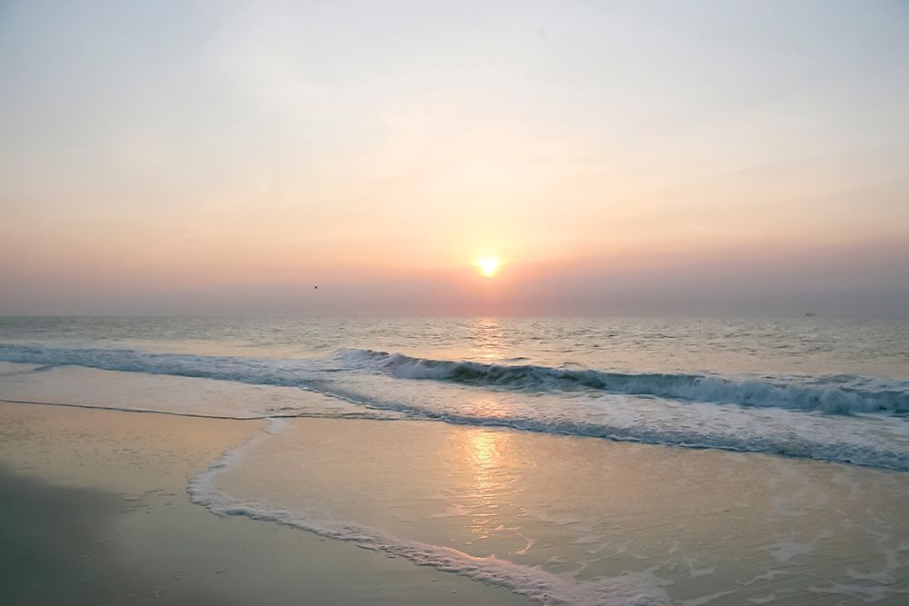 Sunrise on Atlantic Beach art print by Anna Miller for $57.95 CAD