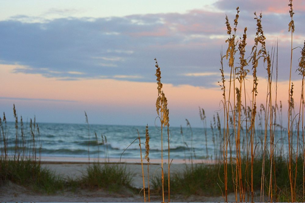 Sea Oats against Sunset Sky-Tybee Island-Georgia-USA art print by Anna Miller for $57.95 CAD