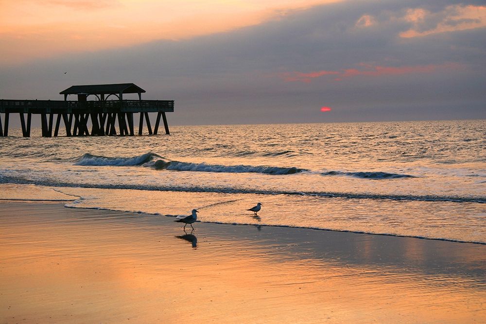 Sunrise on Tybee Island Beach-Georgia-USA art print by Anna Miller for $57.95 CAD