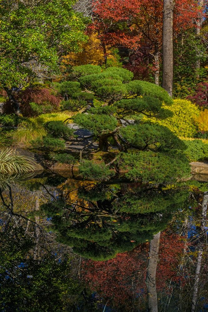 Georgia-Jasper Japanese Garden and pond in Gibbs Garden art print by Jaynes Gallery for $57.95 CAD