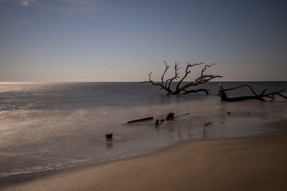 USA-Georgia-Jekyll Island-Sunset at Driftwood Beach and the petrified trees art print by Hollice Looney for $57.95 CAD