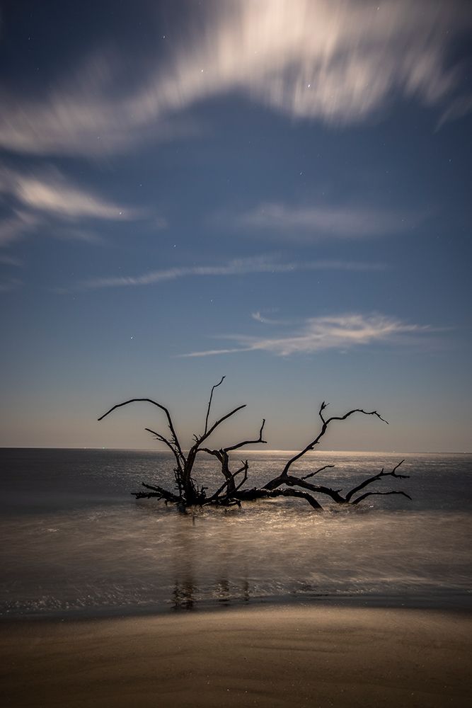 USA-Georgia-Jekyll Island-Sunset at Driftwood Beach and the petrified trees art print by Hollice Looney for $57.95 CAD