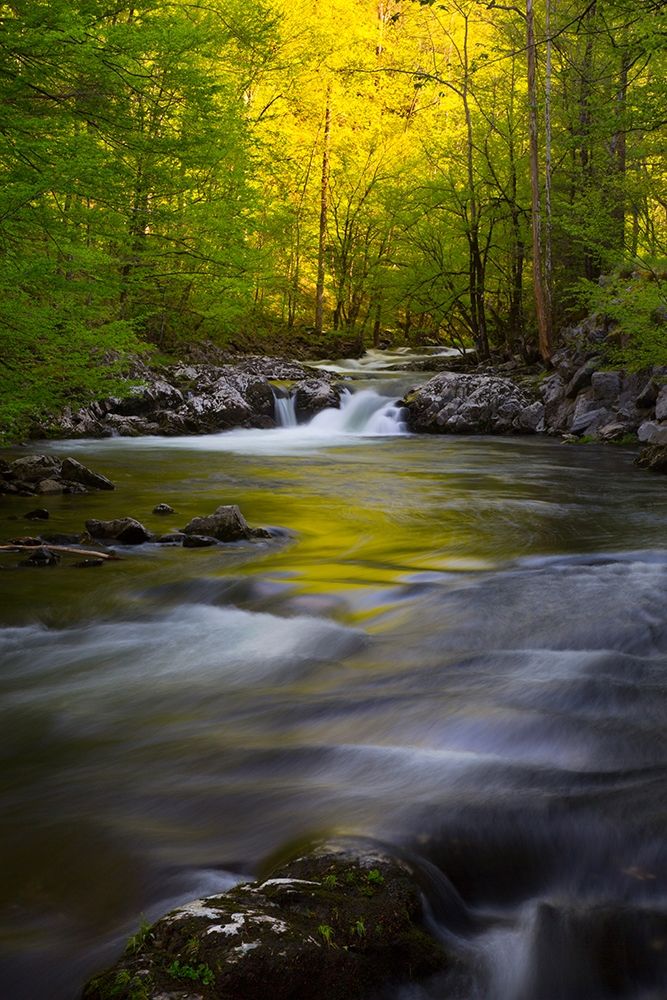 Tennessee Great Smoky Mountains National Park-Little River art print by Joanne Wells for $57.95 CAD