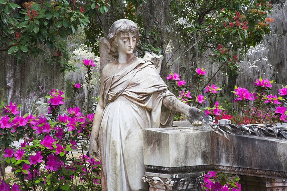 Georgia-Savannah-Bonaventure Cemetery in the spring with azaleas in bloom art print by Joanne Wells for $57.95 CAD