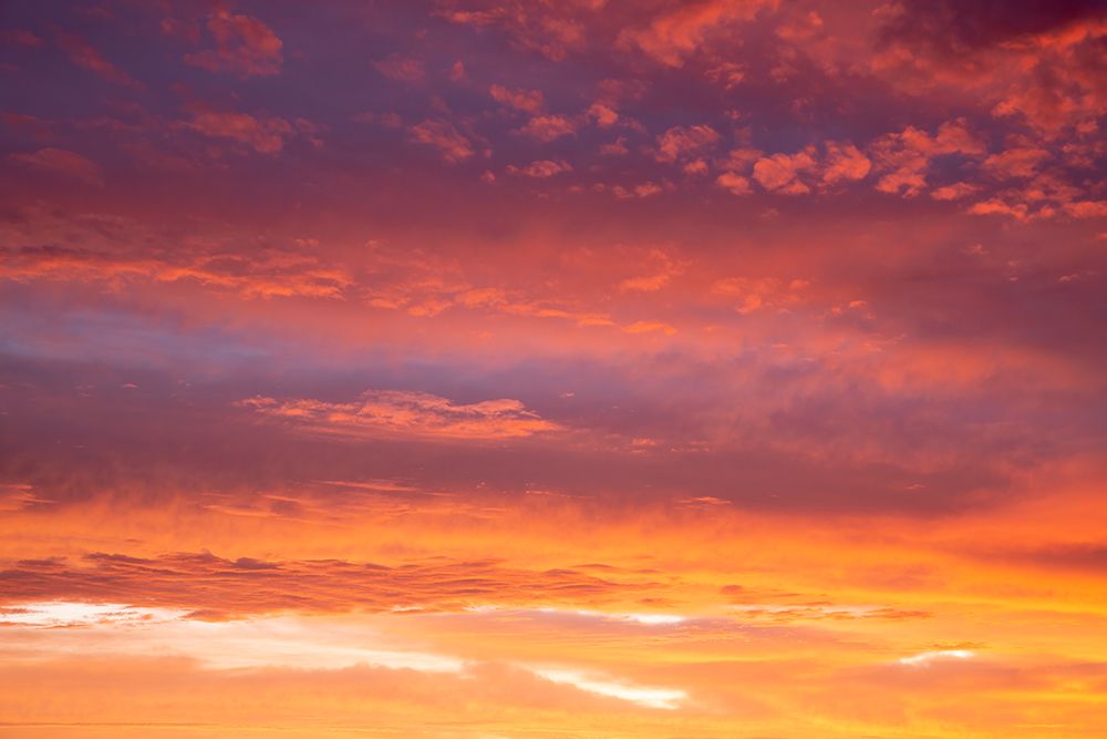 USA- Georgia- Clouds reflecting sunrise. art print by Joanne Wells for $57.95 CAD