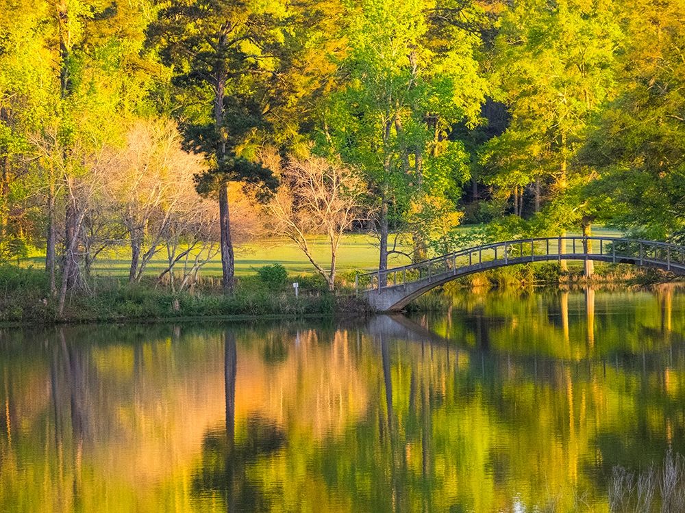 Georgia-Callaway gardens springtime art print by Sylvia Gulin for $57.95 CAD
