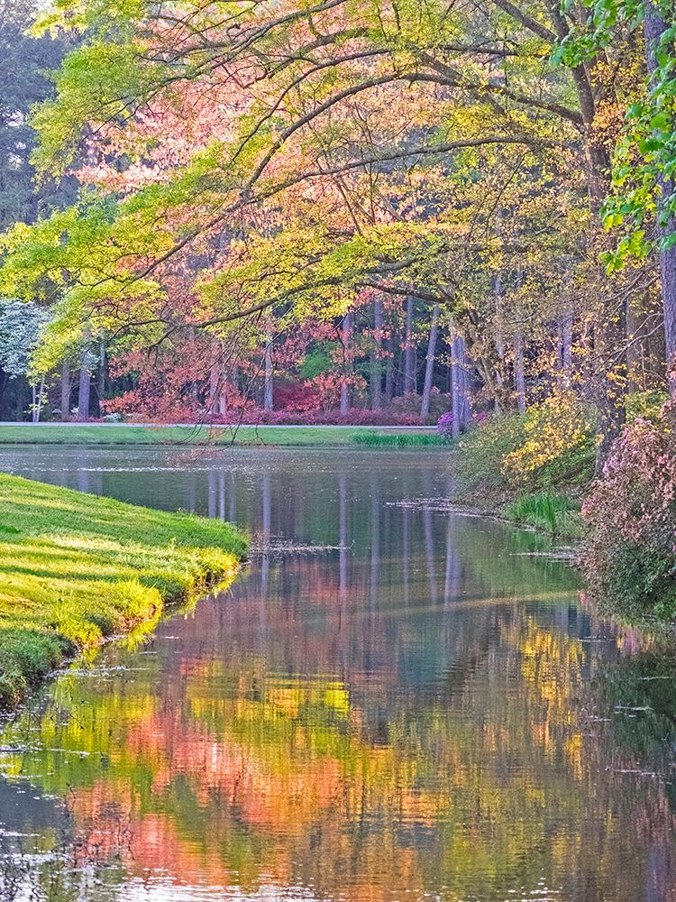 Georgia-Callaway gardens springtime art print by Sylvia Gulin for $57.95 CAD