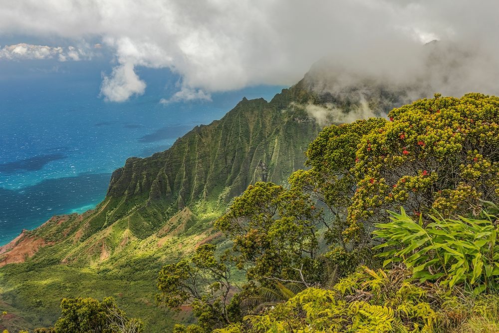 Napali coastline-Kauai-Hawaiian Islands, art print by Adam Jones for $57.95 CAD