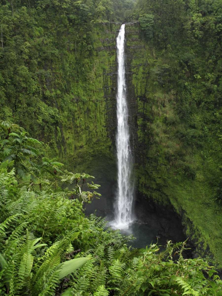 USA, Hawaii, Hilo View if Akaka Falls art print by Wendy Kaveney for $57.95 CAD