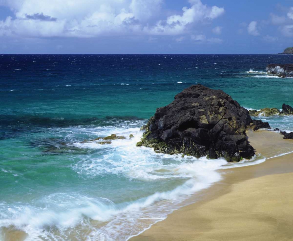Hawaii, A wave breaks on a beach art print by Christopher Talbot Frank for $57.95 CAD