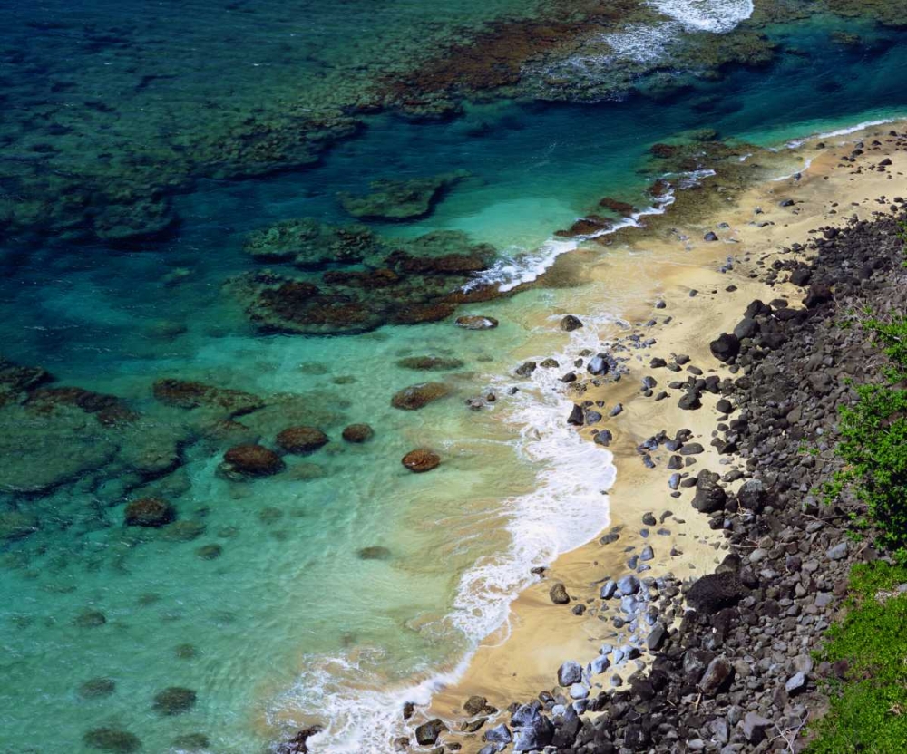 Hawaii, Kauai A coral reef on the Na Pali coast art print by Christopher Talbot Frank for $57.95 CAD