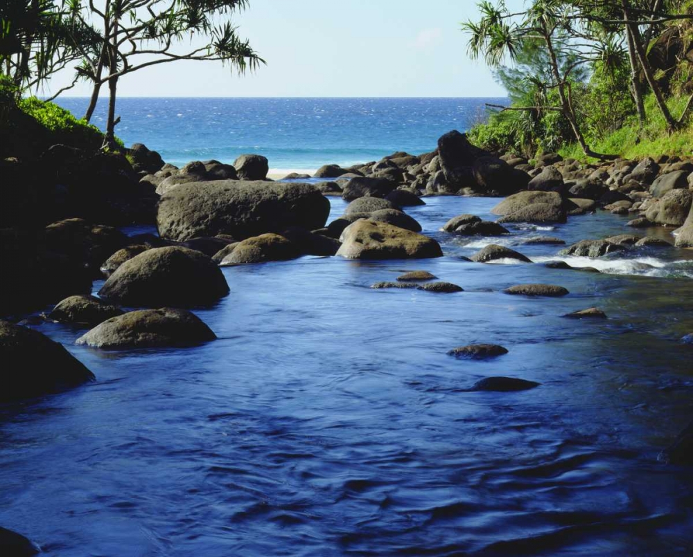 HI, Kauai Stream on the Na Pali coast art print by Christopher Talbot Frank for $57.95 CAD