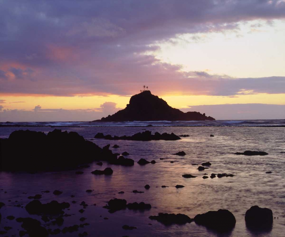 Hawaii, Maui Sunrise over Three Palm Tree Island art print by Christopher Talbot Frank for $57.95 CAD