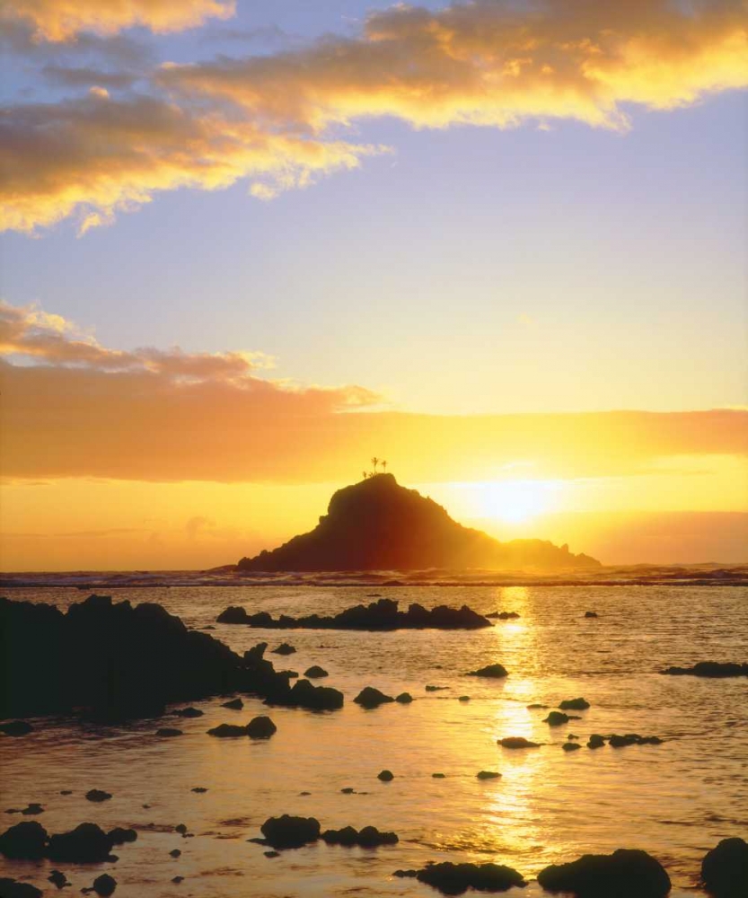 Hawaii, Maui Sunrise over Three Palm Tree Island art print by Christopher Talbot Frank for $57.95 CAD