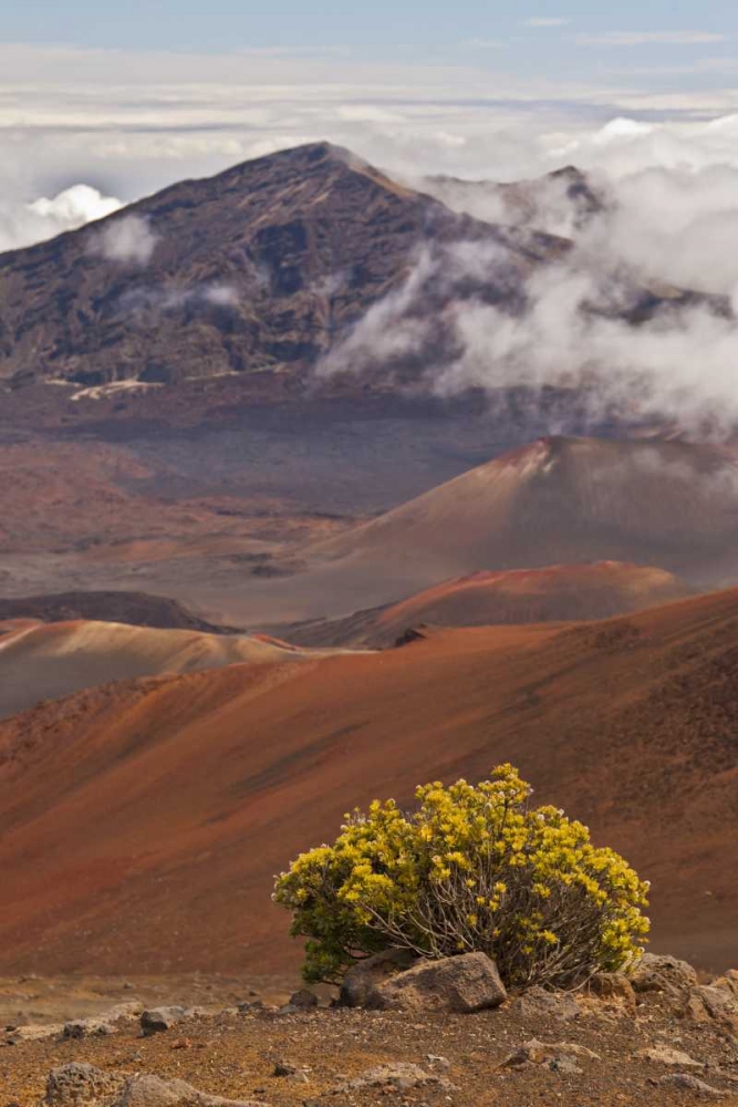 Hawaii, Maui, Haleakala NP Mountain Scenic art print by Cathy and Gordon Illg for $57.95 CAD