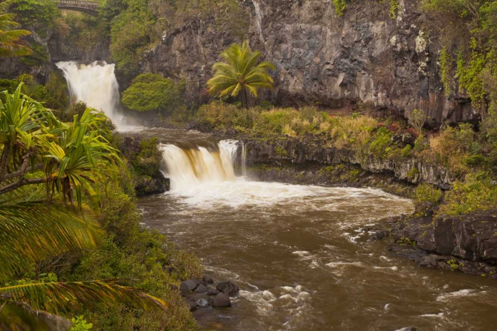 HI, Maui, Haleakala NP Seven Sacred Pools art print by Cathy and Gordon Illg for $57.95 CAD
