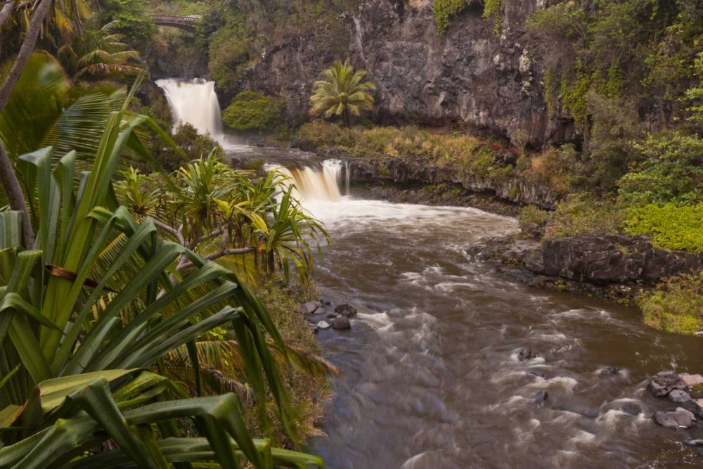 HI, Maui, Haleakala NP, Seven Sacred Pools art print by Cathy and Gordon Illg for $57.95 CAD