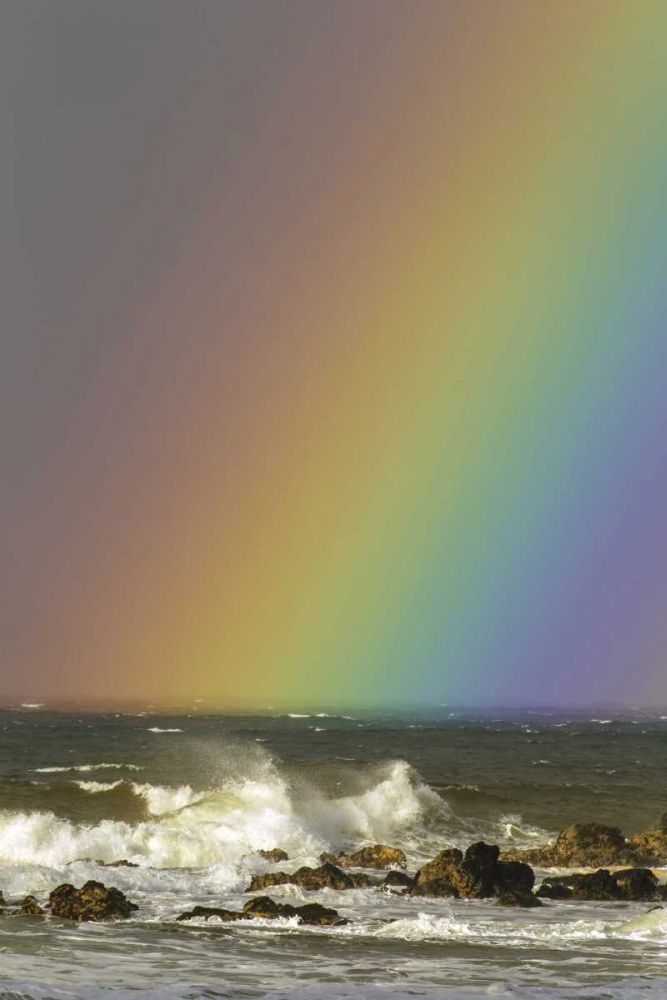 Hawaii, Maui, Hookipa Beach Rainbow and waves art print by Cathy and Gordon Illg for $57.95 CAD