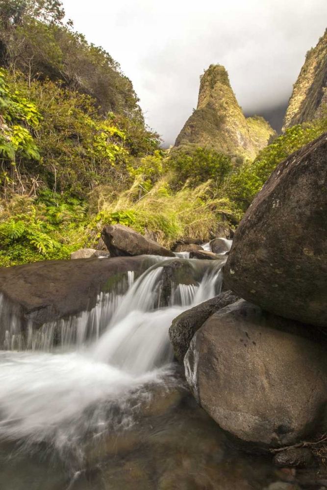 HI, Maui, West Maui Mts Iao Needle and stream art print by Cathy and Gordon Illg for $57.95 CAD