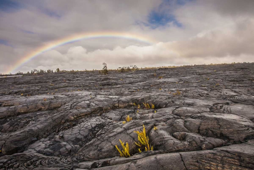 HI, Big Island Rainbow over old hardened lava art print by Cathy and Gordon Illg for $57.95 CAD