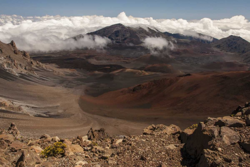 Hawaii, Maui, Haleakala NP Overview of park art print by Cathy and Gordon Illg for $57.95 CAD