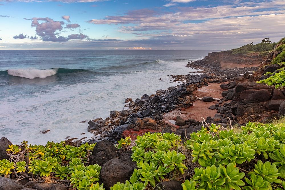 Paliku aka Donkey Beach in Kealia in Kauai-Hawaii-USA art print by Chuck Haney for $57.95 CAD