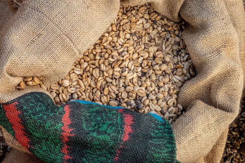 Kauai Coffee beans drying-Kauai-Hawaii-USA art print by Jim Engelbrecht for $57.95 CAD