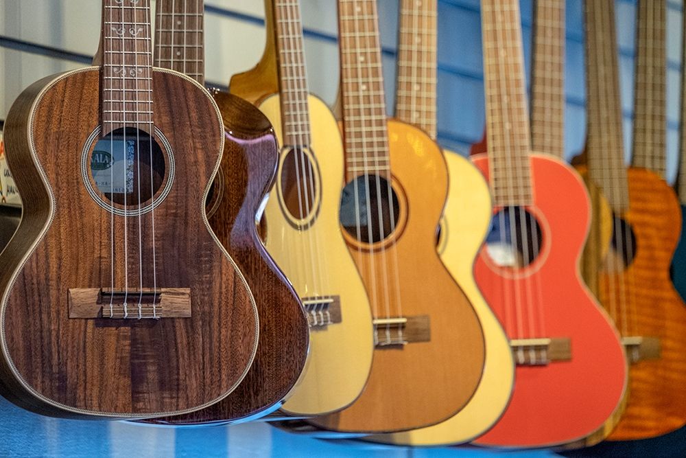 Ukulele in music store-Kauai-Hawaii-USA art print by Jim Engelbrecht for $57.95 CAD