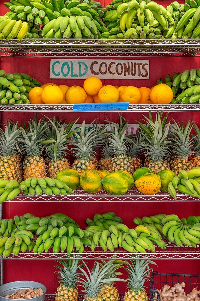 Fresh fruit at the market-Kauai-Hawaii-USA art print by Lisa S. Engelbrecht for $57.95 CAD