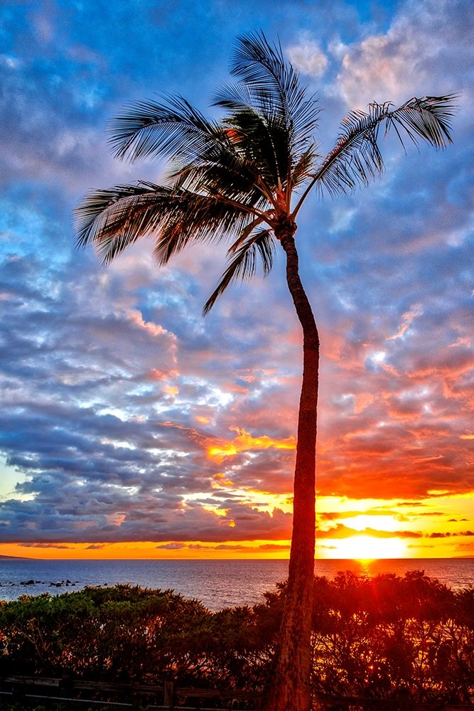 Sunset on Wailea Beach-Maui-Hawaii-USA art print by Lisa S. Engelbrecht for $57.95 CAD