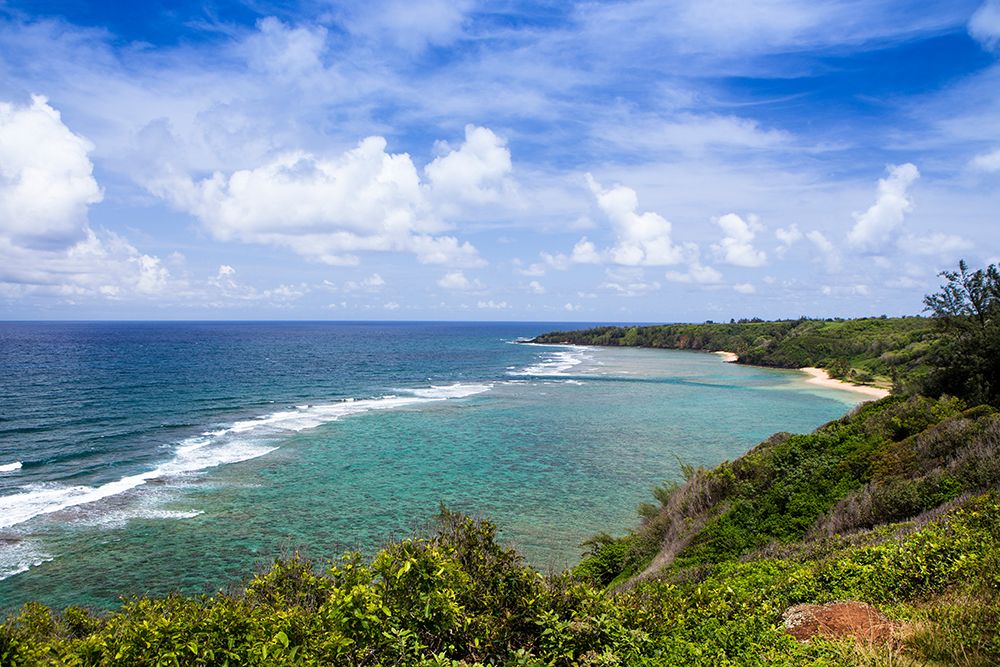 Kilauea-Kauai-Hawaii-USA. Views over the Kilauea coastline. art print by Micah Wright for $57.95 CAD