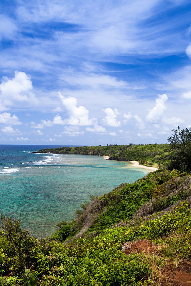 Kilauea-Kauai-Hawaii-USA. Views over the Kilauea coastline. art print by Micah Wright for $57.95 CAD
