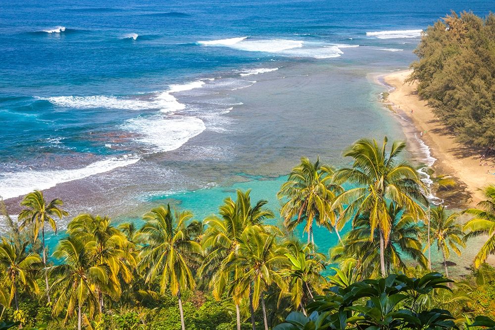 Hawaii-Kauai-shoreline along the Na Pali Coast State Wilderness Park art print by Sylvia Gulin for $57.95 CAD