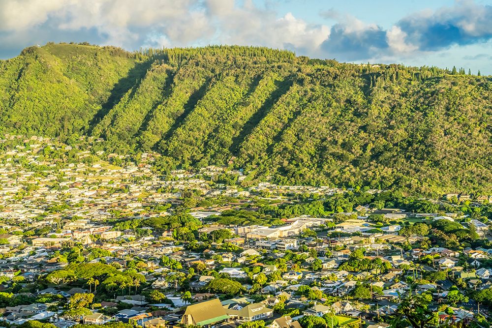 Manoa Valley houses-Honolulu-Hawaii. art print by William Perry for $57.95 CAD