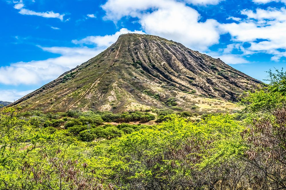 Koko Crater-Honolulu-Oahu-Hawaii. Hiking trail over railroad tracks to summit art print by William Perry for $57.95 CAD
