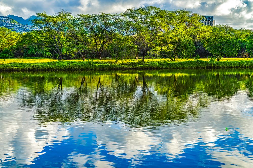 Colorful Ala Wai Canal reflection, Honolulu, Oahu, Hawaii. art print by William Perry for $57.95 CAD
