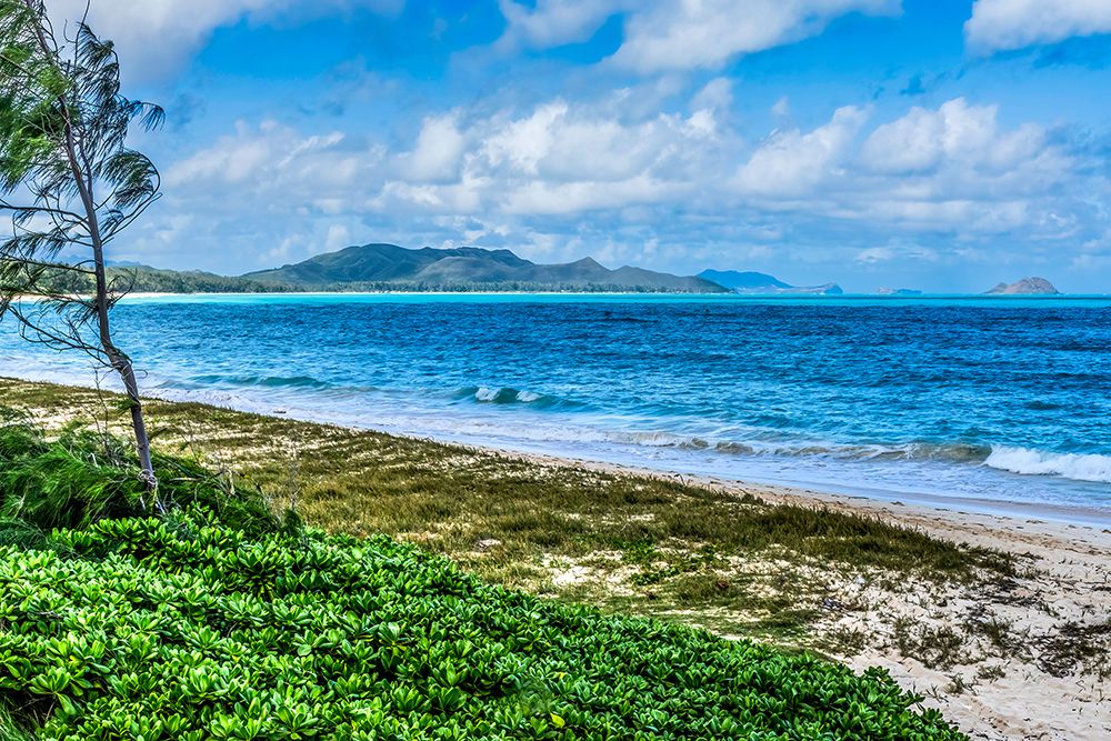 Colorful Kailua Beach Park Oahu, Hawaii. art print by William Perry for $57.95 CAD