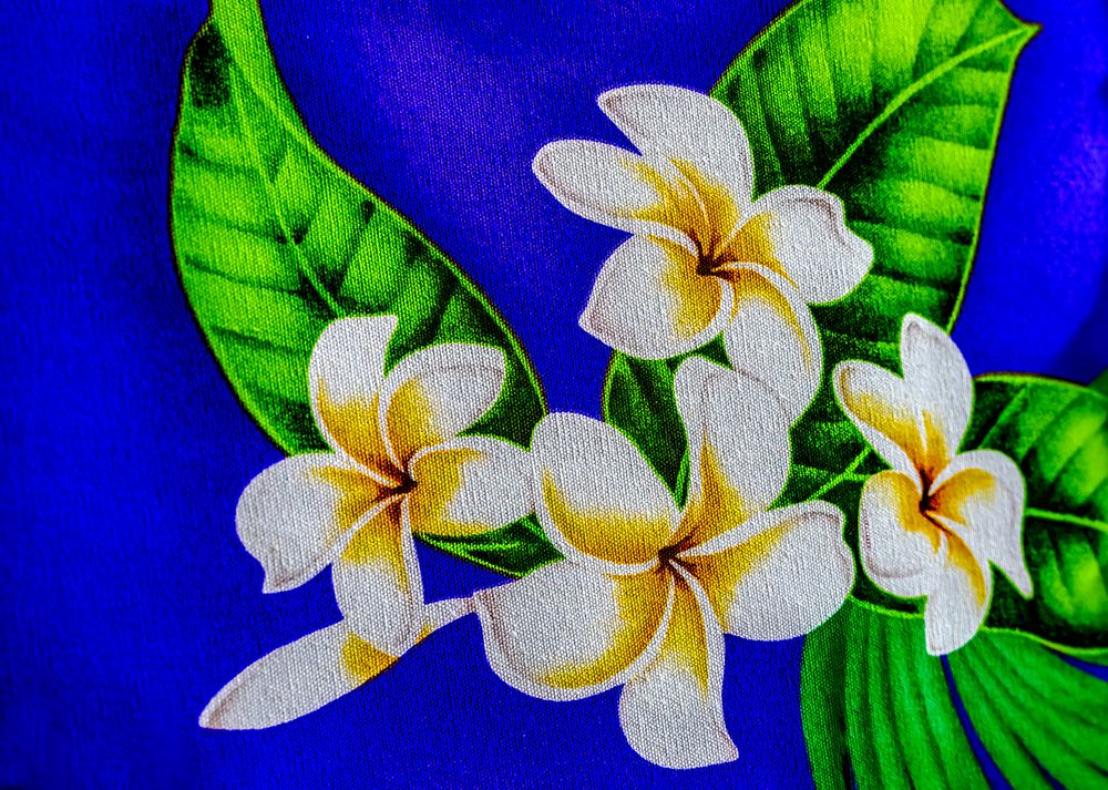 Colorful Polynesian textile, Waikiki, Honolulu, Oahu, Hawaii. art print by William Perry for $57.95 CAD