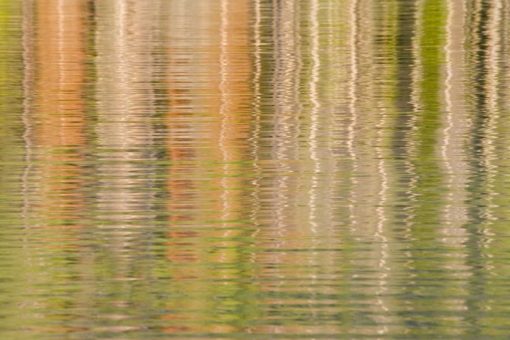 Idaho Fall reflections ripple on Redfish Lake art print by Don Paulson for $57.95 CAD