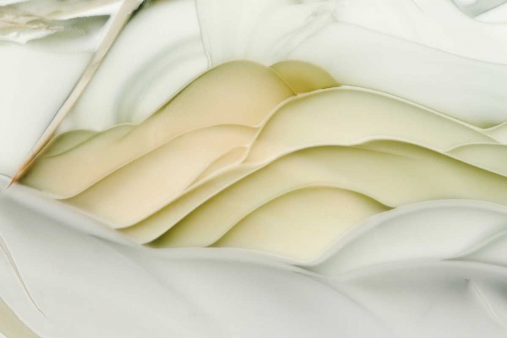 USA, Idaho Close-up of Willow Creek Jasper stone art print by Dennis Kirkland for $57.95 CAD