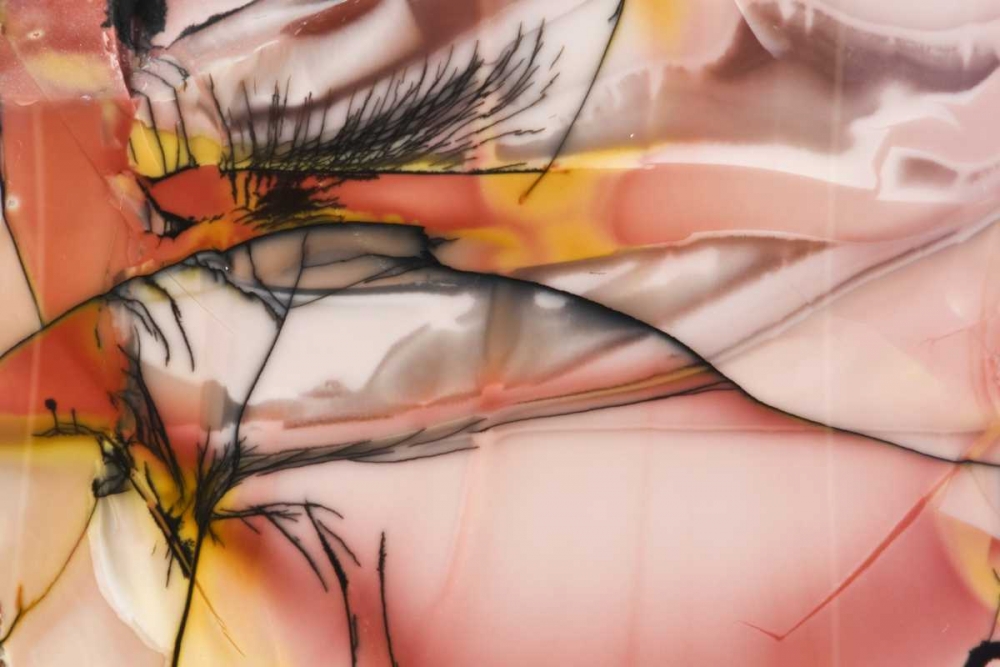 USA, Idaho Close-up of Willow Creek Jasper stone art print by Dennis Kirkland for $57.95 CAD
