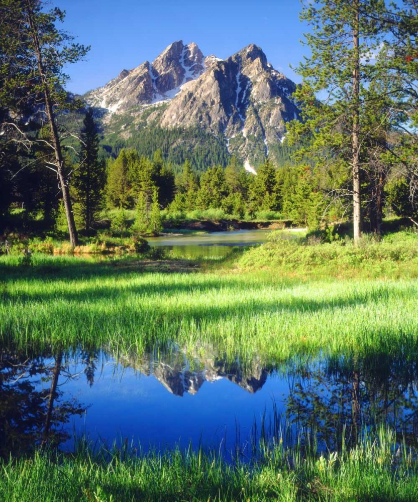 USA, Idaho, Sawtooth Wilderness art print by Christopher Talbot Frank for $57.95 CAD