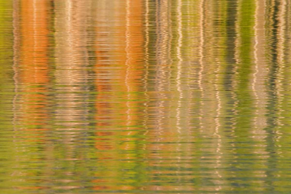 USA, Idaho Reflections on Redfish Lake art print by Don Paulson for $57.95 CAD