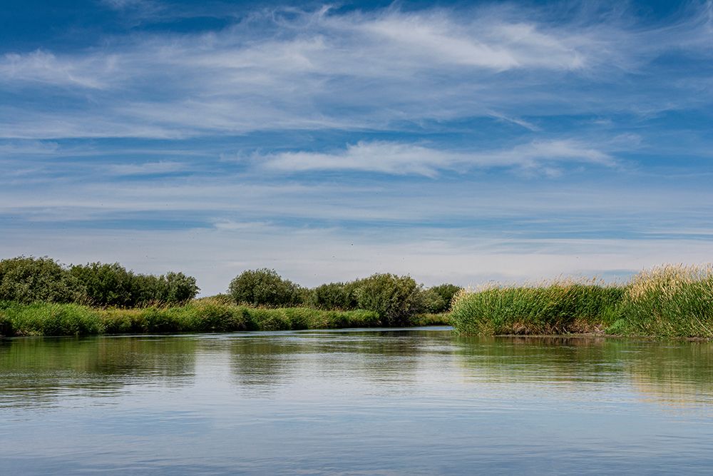 USA-Idaho-Teton River-willows and wetland near Driggs art print by Howie Garber for $57.95 CAD