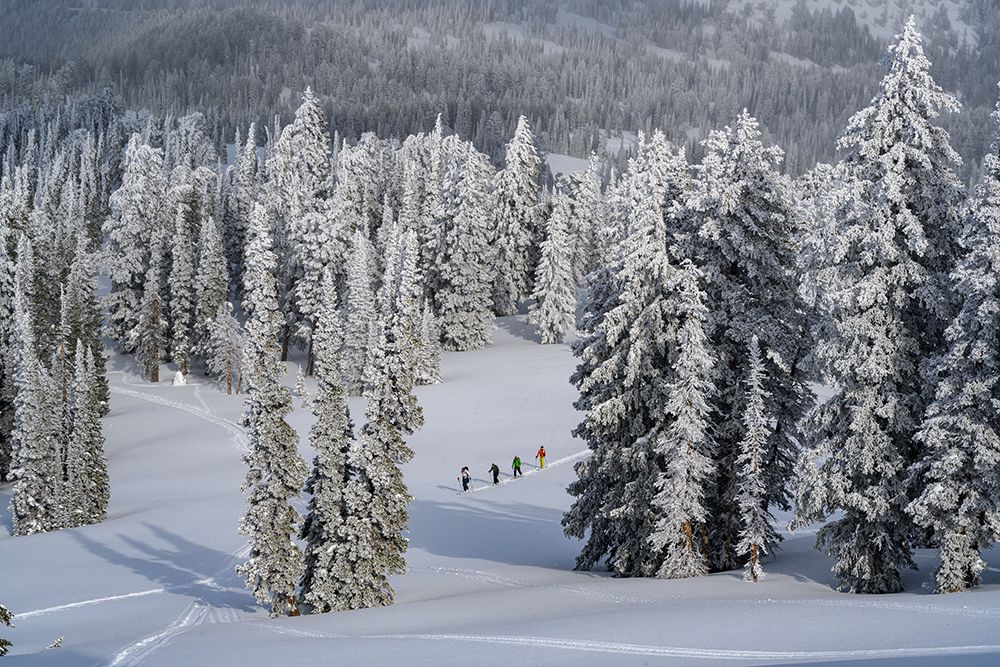 USA-Idaho. Four skiers climbing on trail near Bear Lake art print by Howie Garber for $57.95 CAD