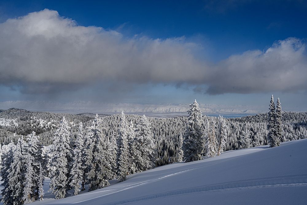 USA-Idaho. Winter landscape near Bear Lake art print by Howie Garber for $57.95 CAD