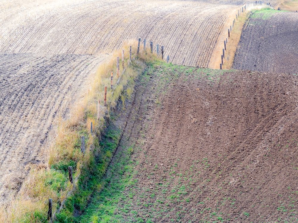 Idaho-fence line and rolling hills near Cottonwood Highway 95 art print by Sylvia Gulin for $57.95 CAD