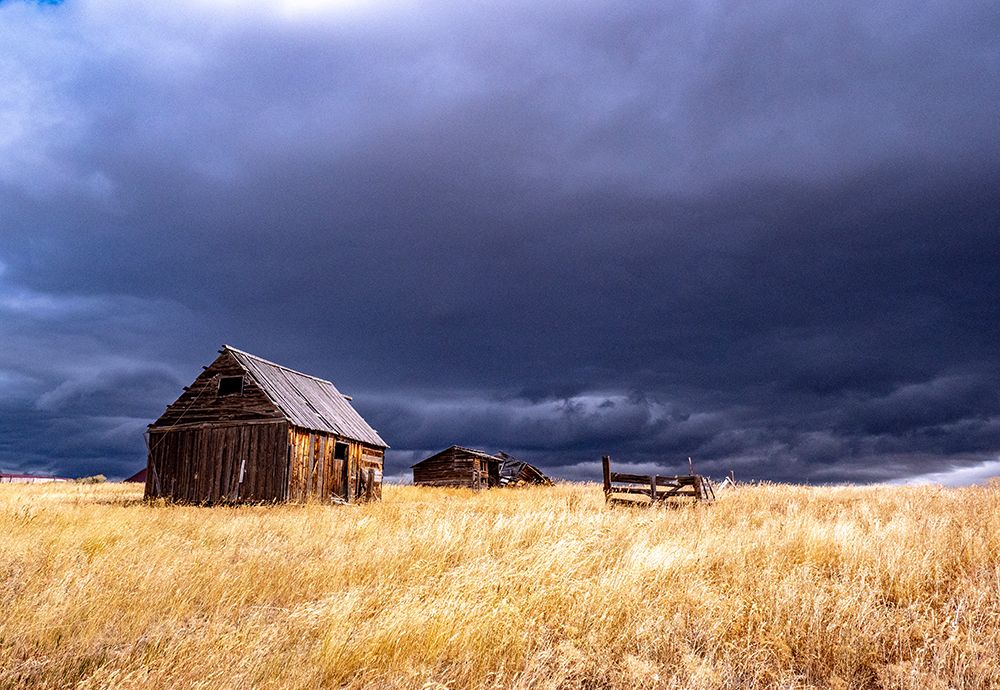 USA-Idaho-Highway 36-Liberty storm passing over old wooden barn art print by Sylvia Gulin for $57.95 CAD