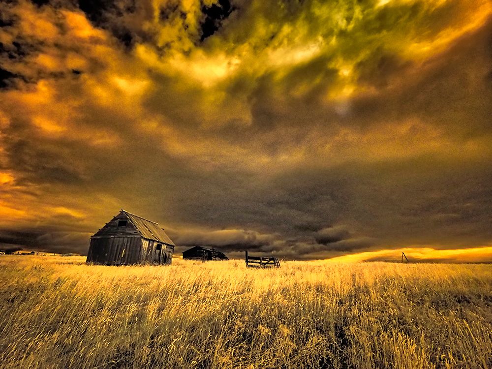 USA-Idaho-Liberty-Infrared of old cabin near Liberty art print by Terry Eggers for $57.95 CAD