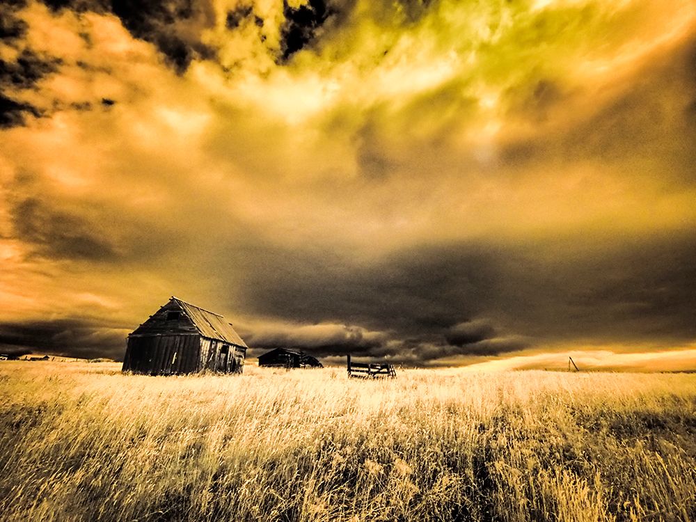 USA-Idaho-Liberty-Infrared of old cabin near Liberty art print by Terry Eggers for $57.95 CAD